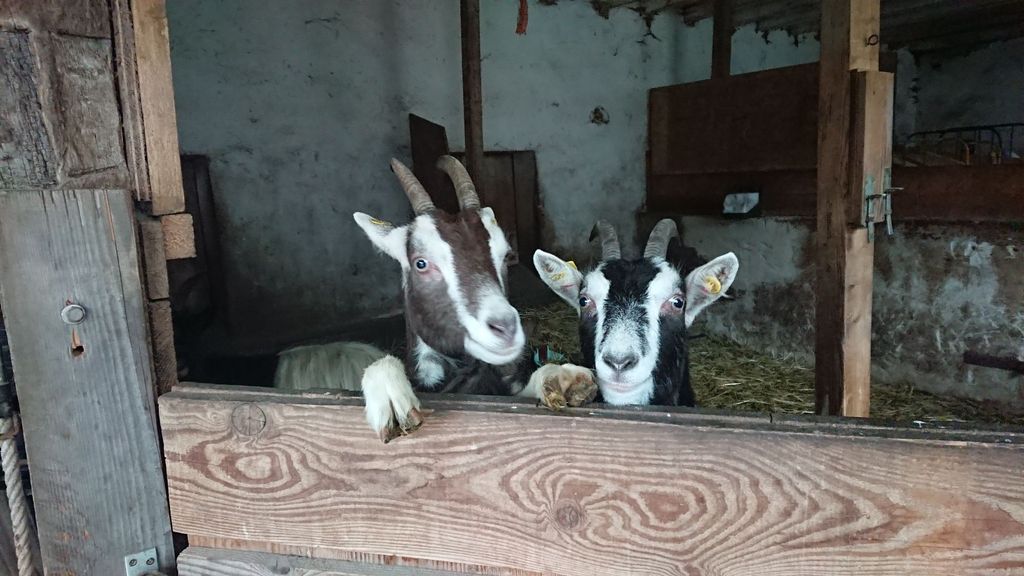 Casa para dormir en la granja ecológica