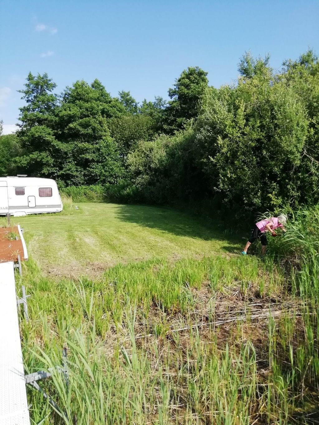 Meadow with direct lake access