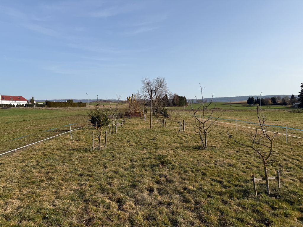 Vorderer Teil der Wiese