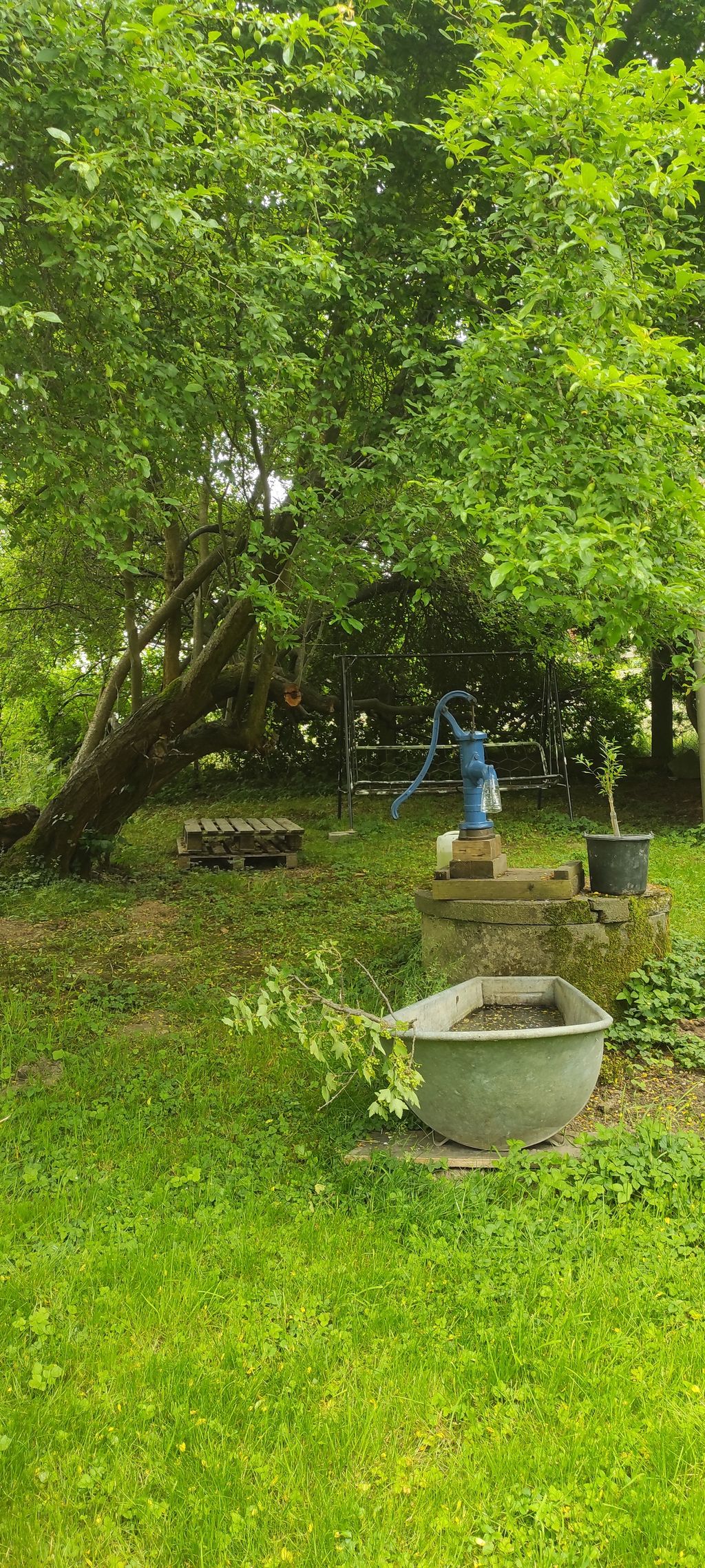 Gartengrundstück im Dorf nur für dich