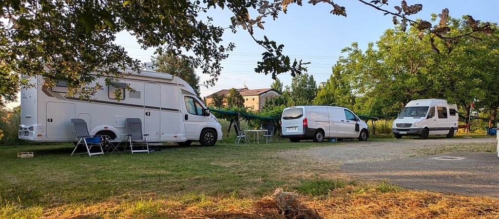 Ferme biologique de Parme : vin, miel et tracteurs d'époque