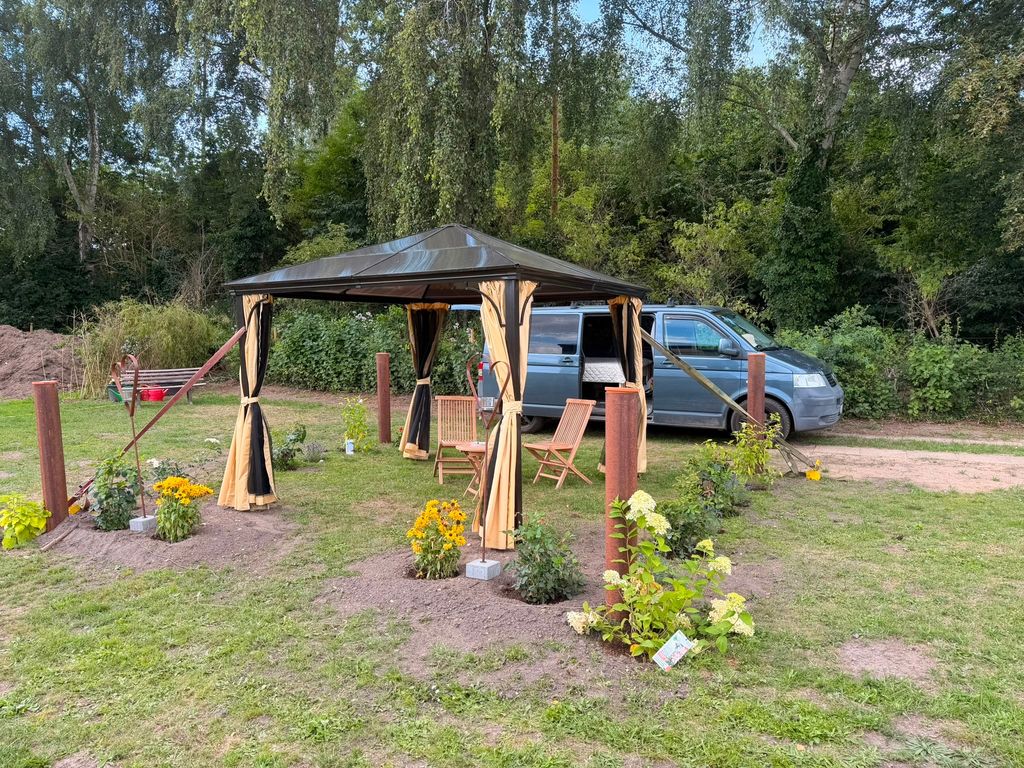 Gemütliches Camp unter den Birken