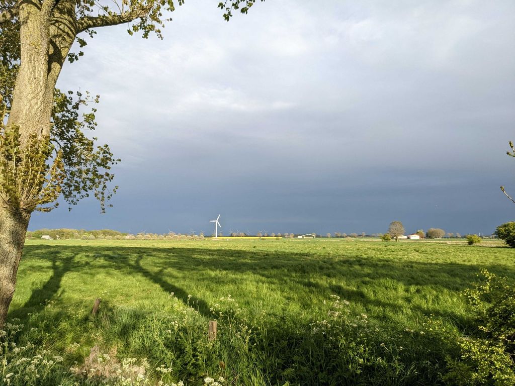La Frise orientale à l'état pur entre Greetsiel et Norddeich