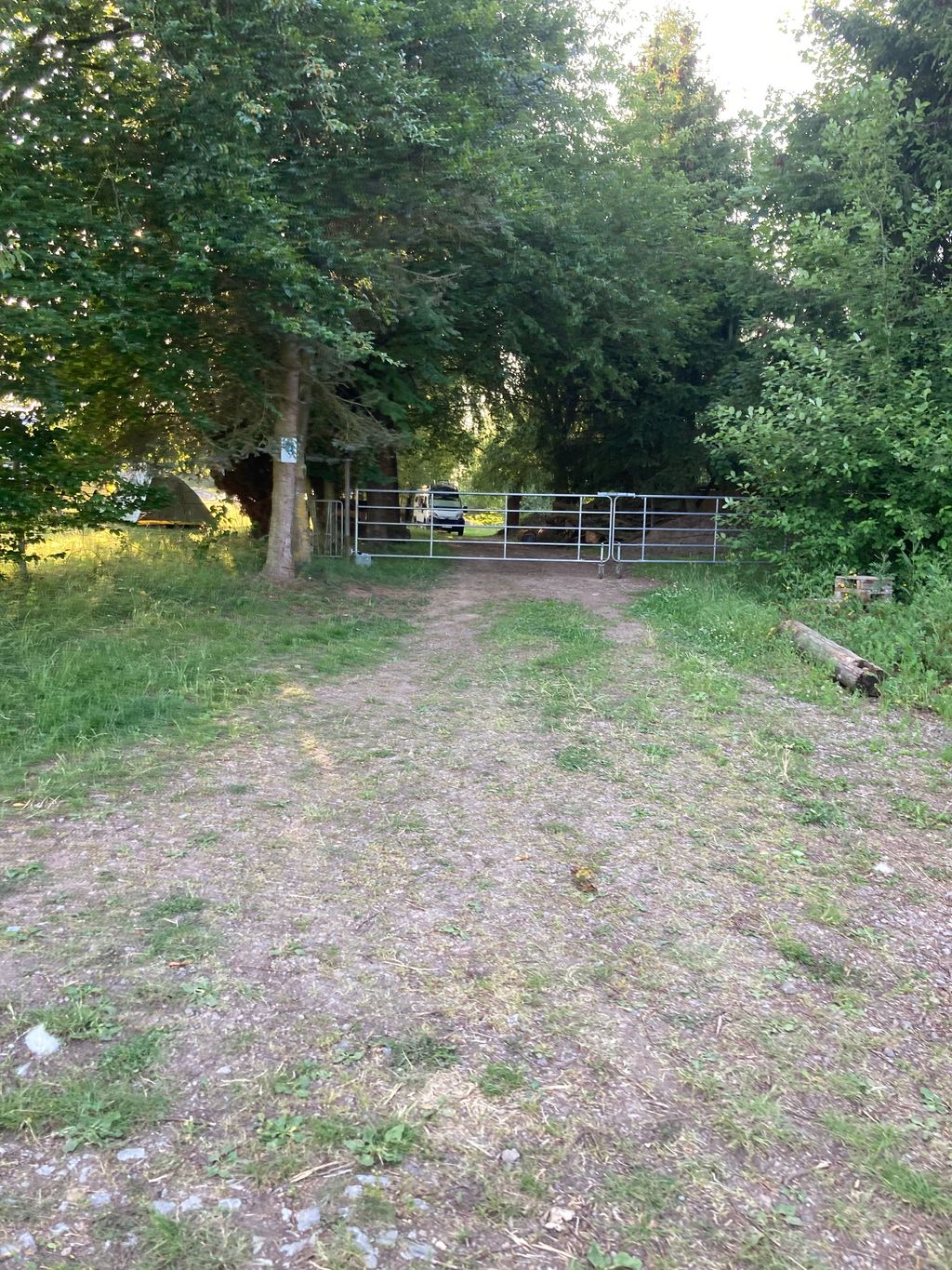 Tranquilidad idílica en el Tannenhof