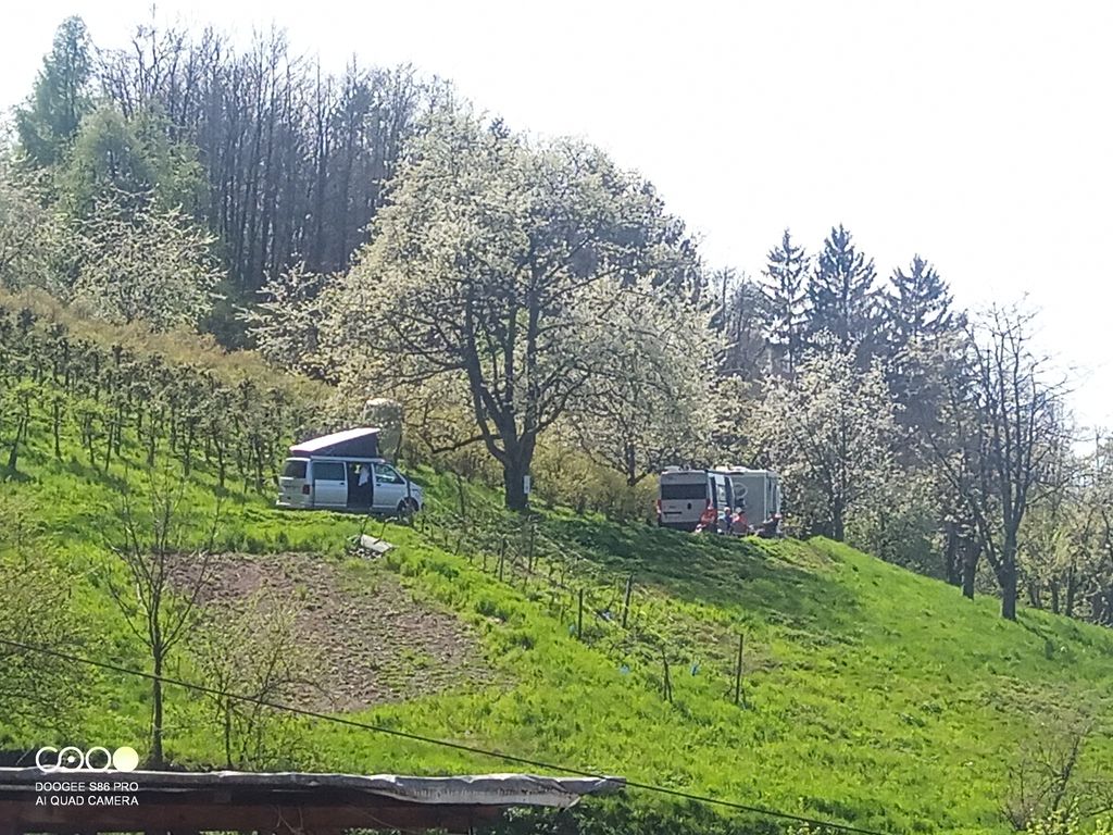 Badischer Winzer mit Blick nach Straßburg 