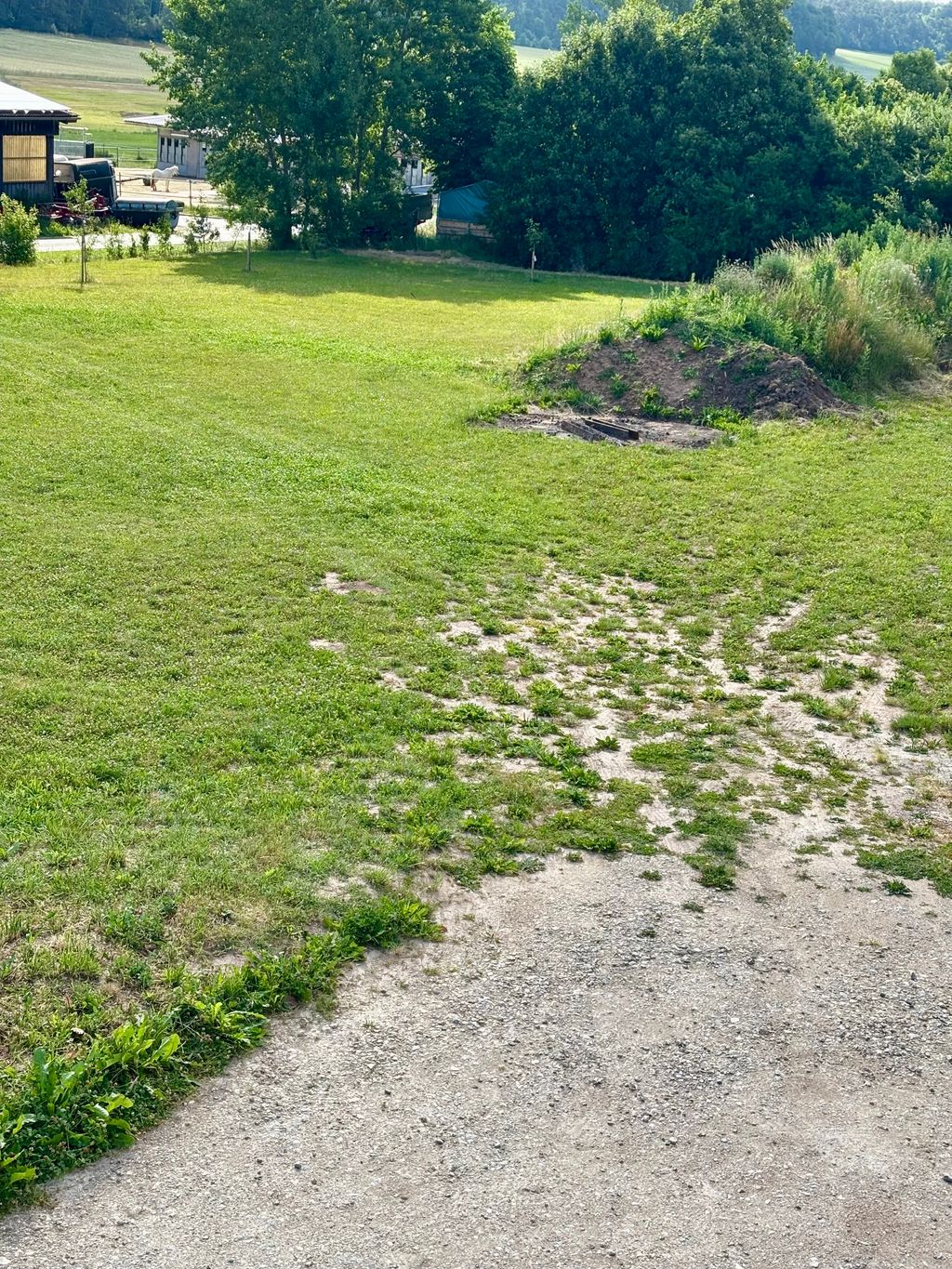 Übernachten im Wiesethtal „Eicherlasgrund“