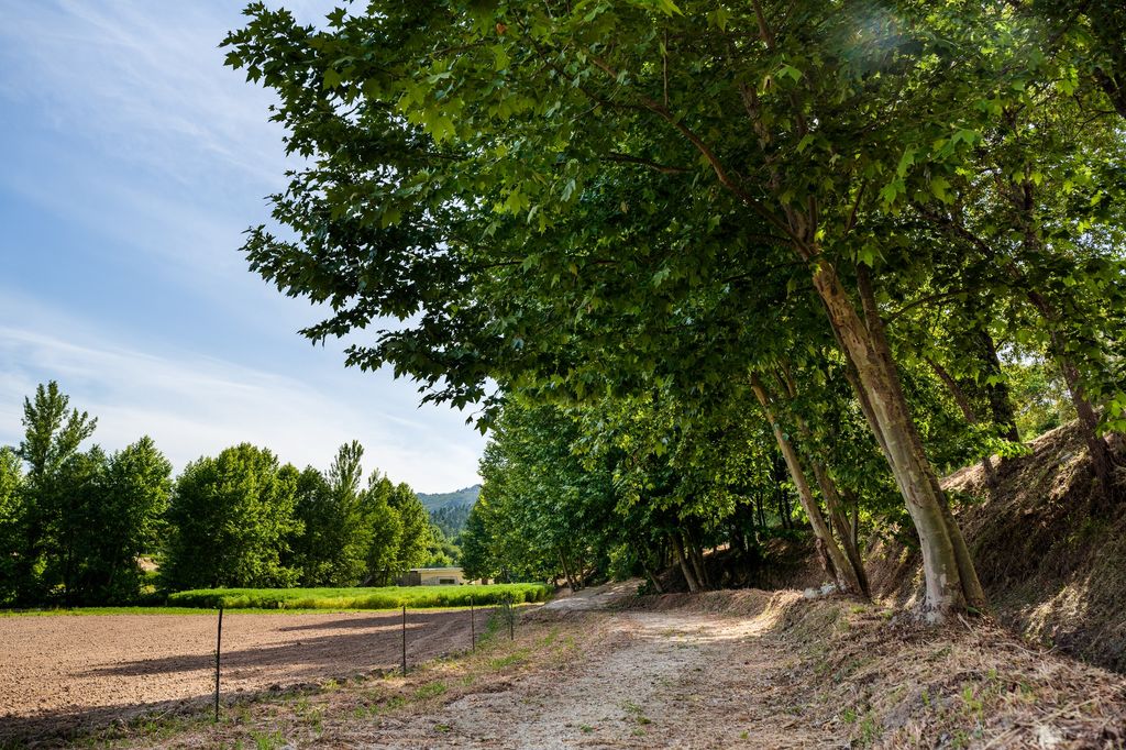 Mikrocamping in der Natur bei Veade Rive- Escape Portugal