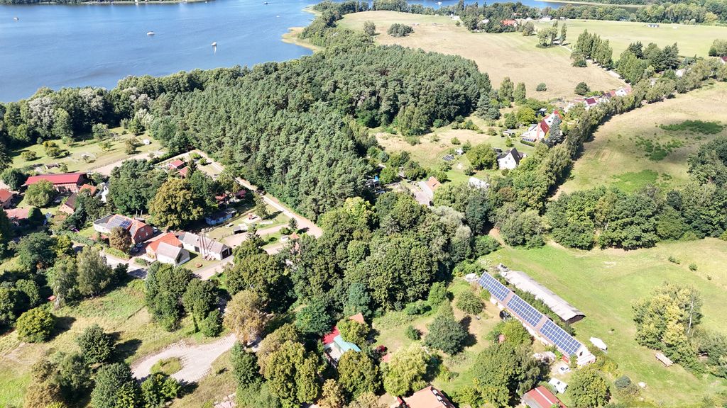 Piazzola soleggiata "Zur Rebe" in riva al lago