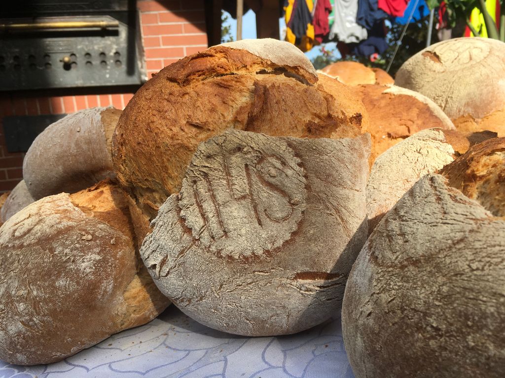 Bauernhoferlebnis, do sage Fuxs und Has gudnochd