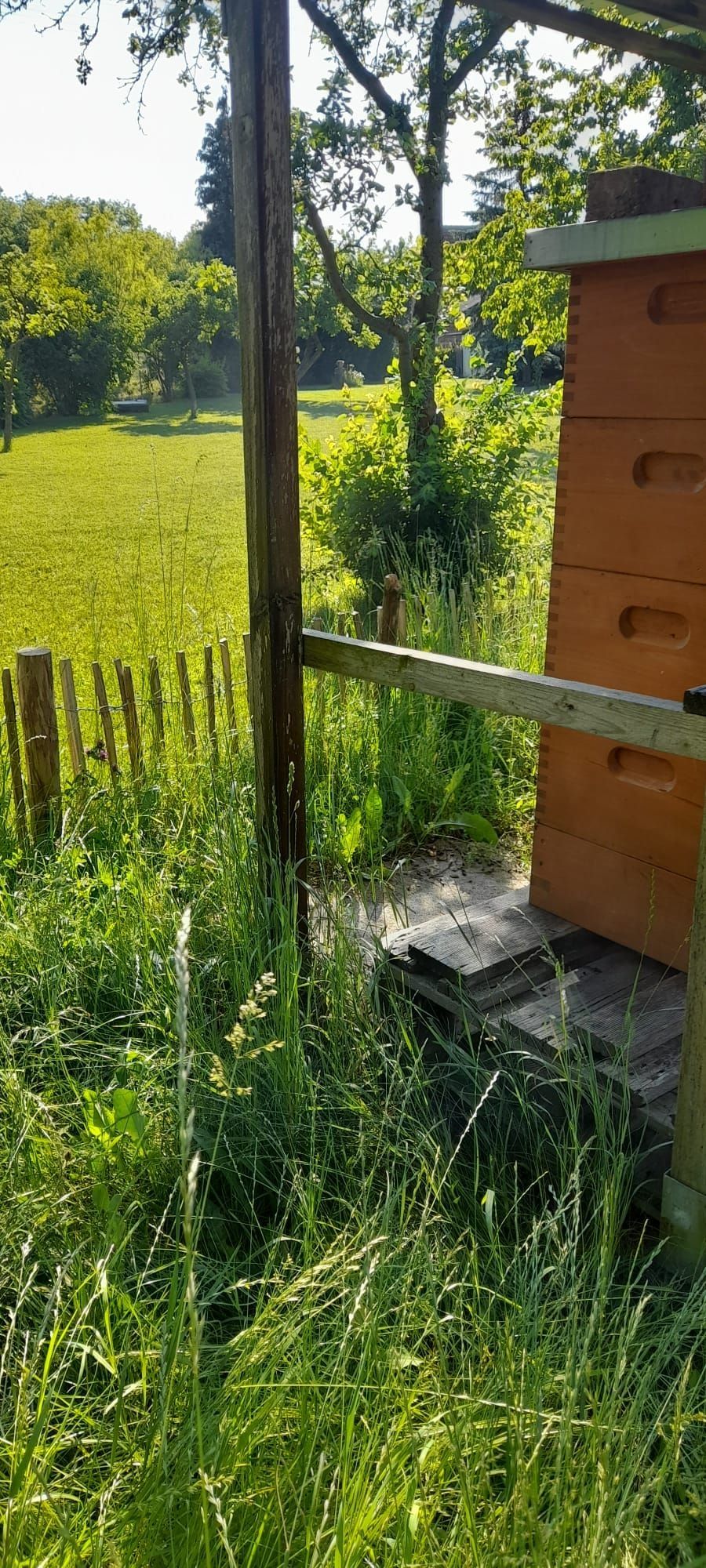 Alla periferia di Erfurt, capitale della Turingia, si trova la città di Erfurt.