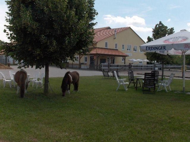 Campeggio e tenda presso il lago e il centro di equitazione