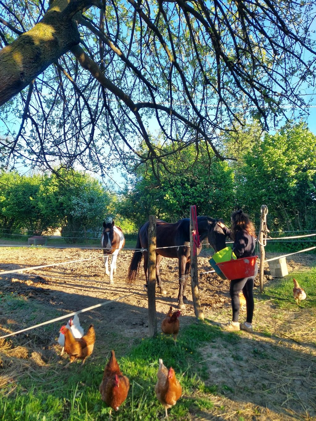 Un oasis en el Monferrato, entre caballos y colinas