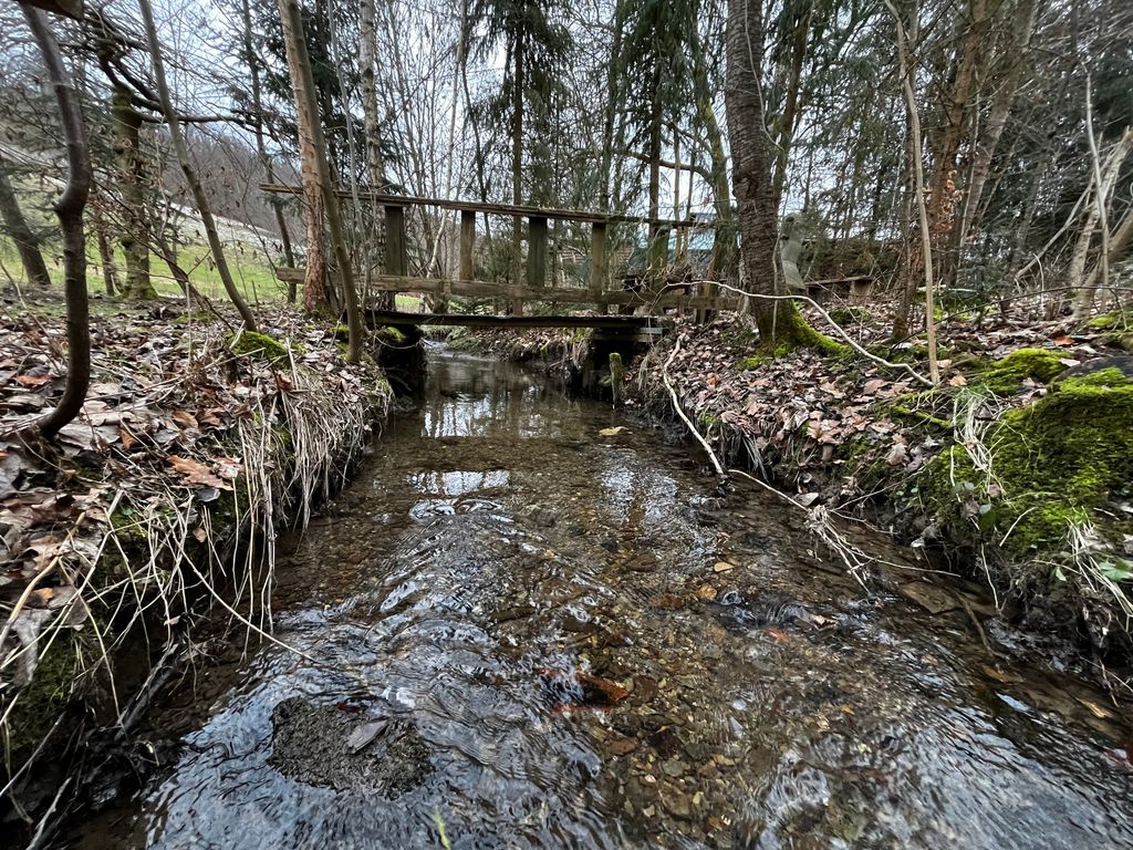 Emplacement au bord du ruisseau avec aire de barbecue et cabane 