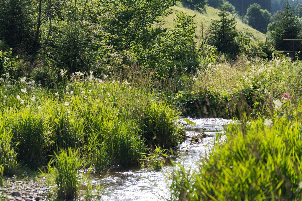 Am Waldrand im Schwarzwald mit Ausblick