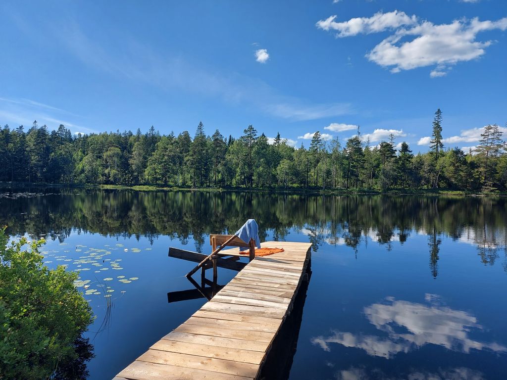 Tiny-House " Lodjur " Cabin am See in Südschweden 