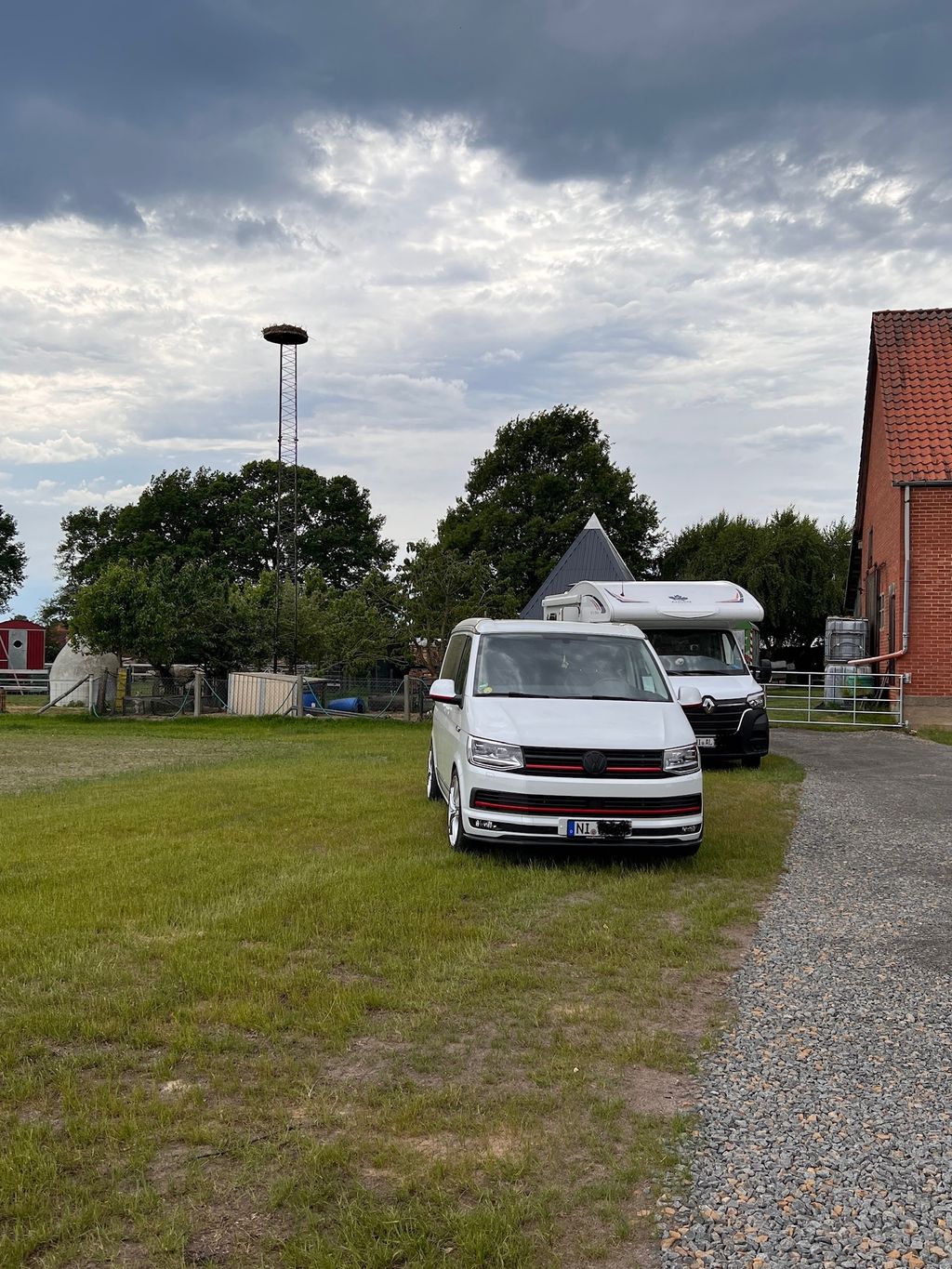 Emplacement âne du Poitou au bord de la Steinhuder-Meer