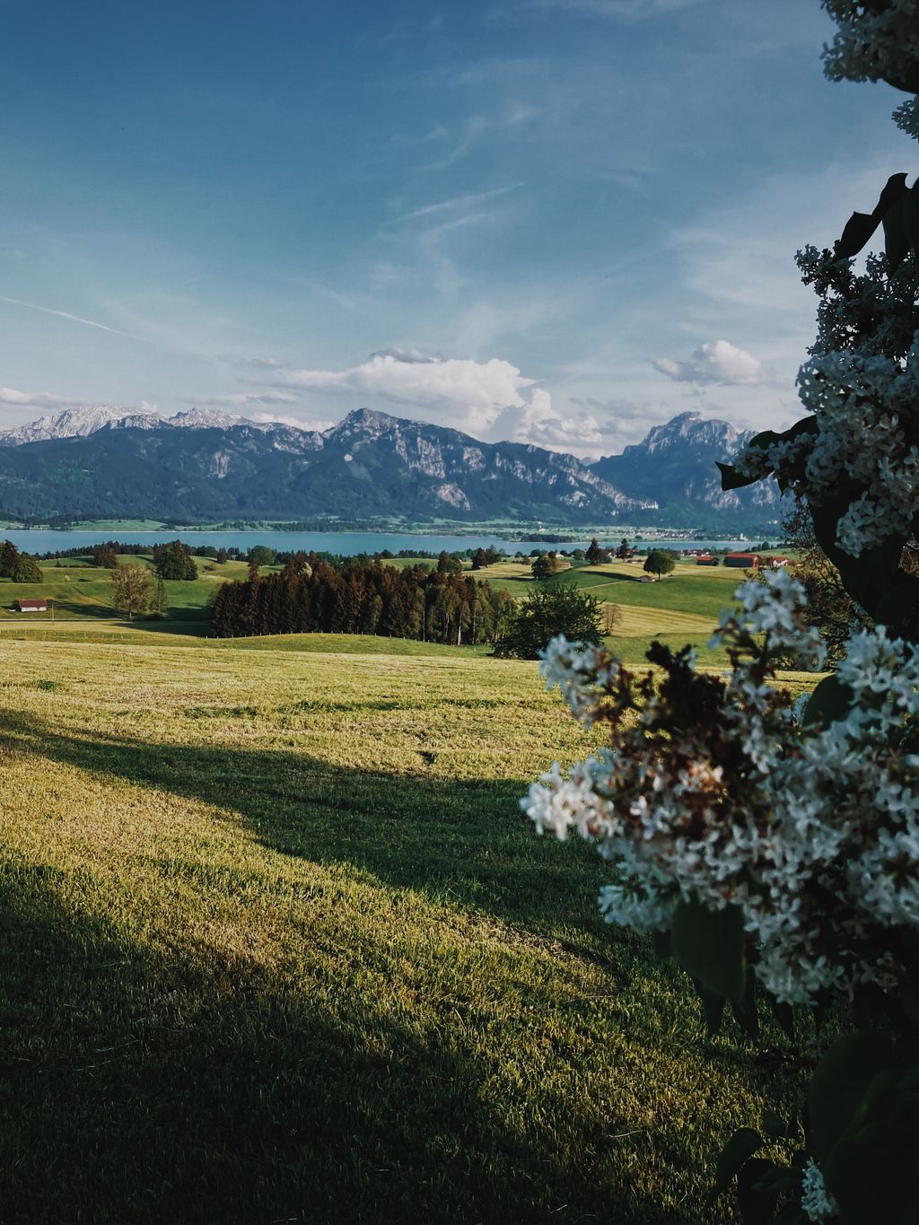 Vue sur le charmant Allgäu