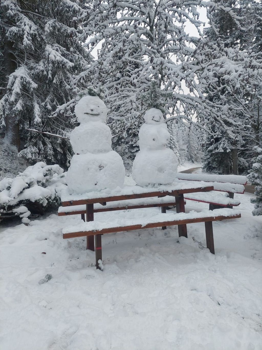 Vacaciones en la Selva Negra granja de vacaciones para campistas