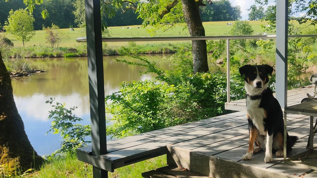 Natur-Idylle in Frankreich: Stellplatz am See