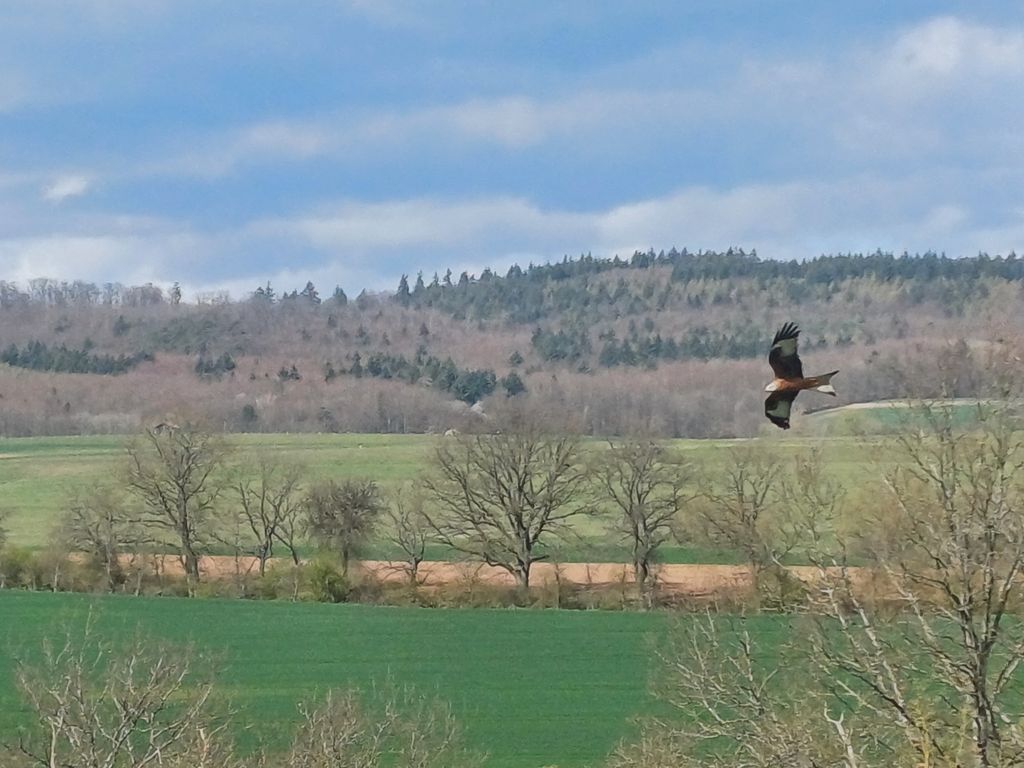 In the garden at the foot of the Donnersberg