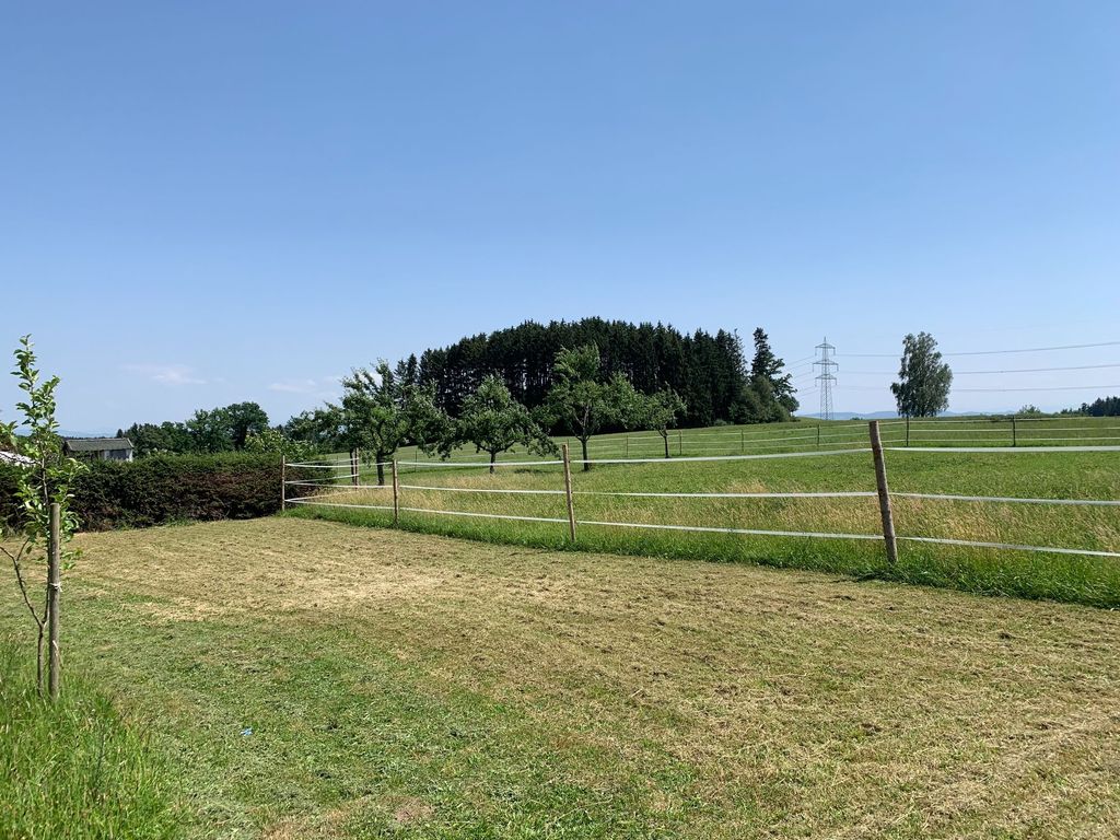 Con i cavalli in Allgäu