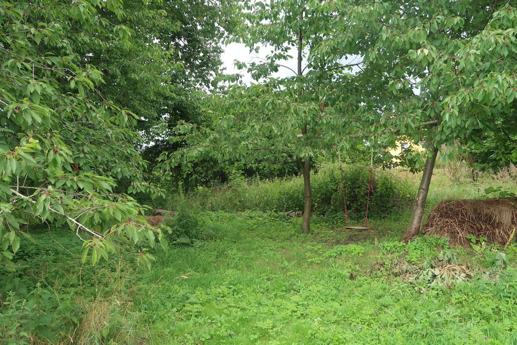 Piazzola privata - campeggio alle porte di Usedom