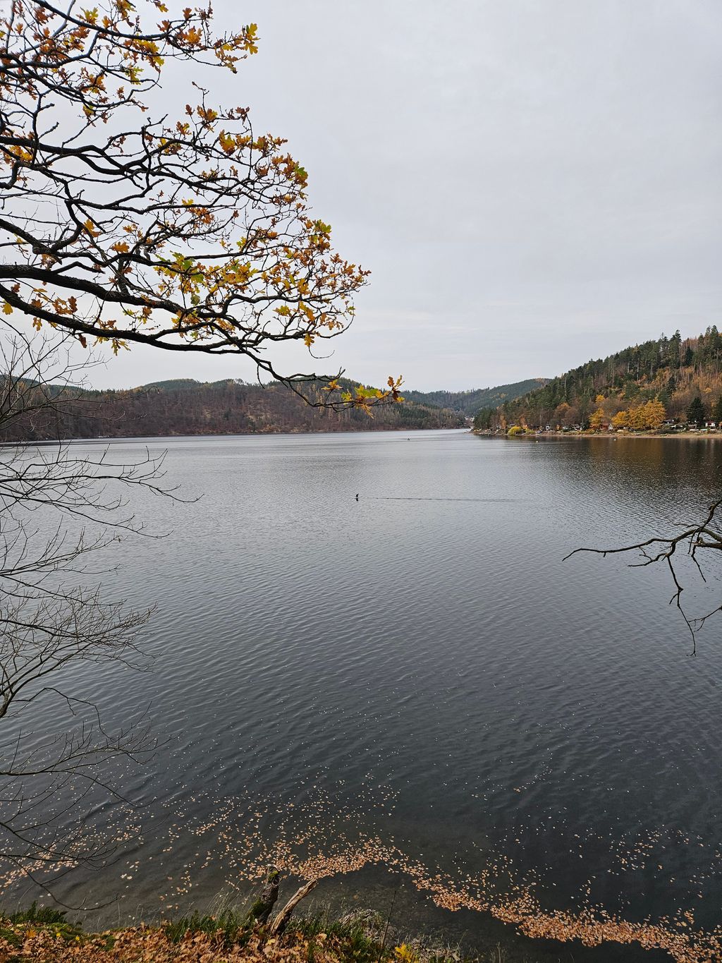 Thüringer Meer hautnah