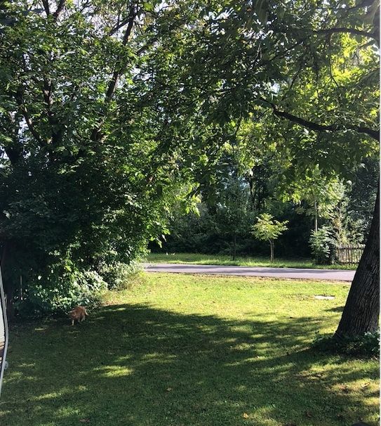 Stellplatz am alten Fischerhaus nahe Wels & Linz