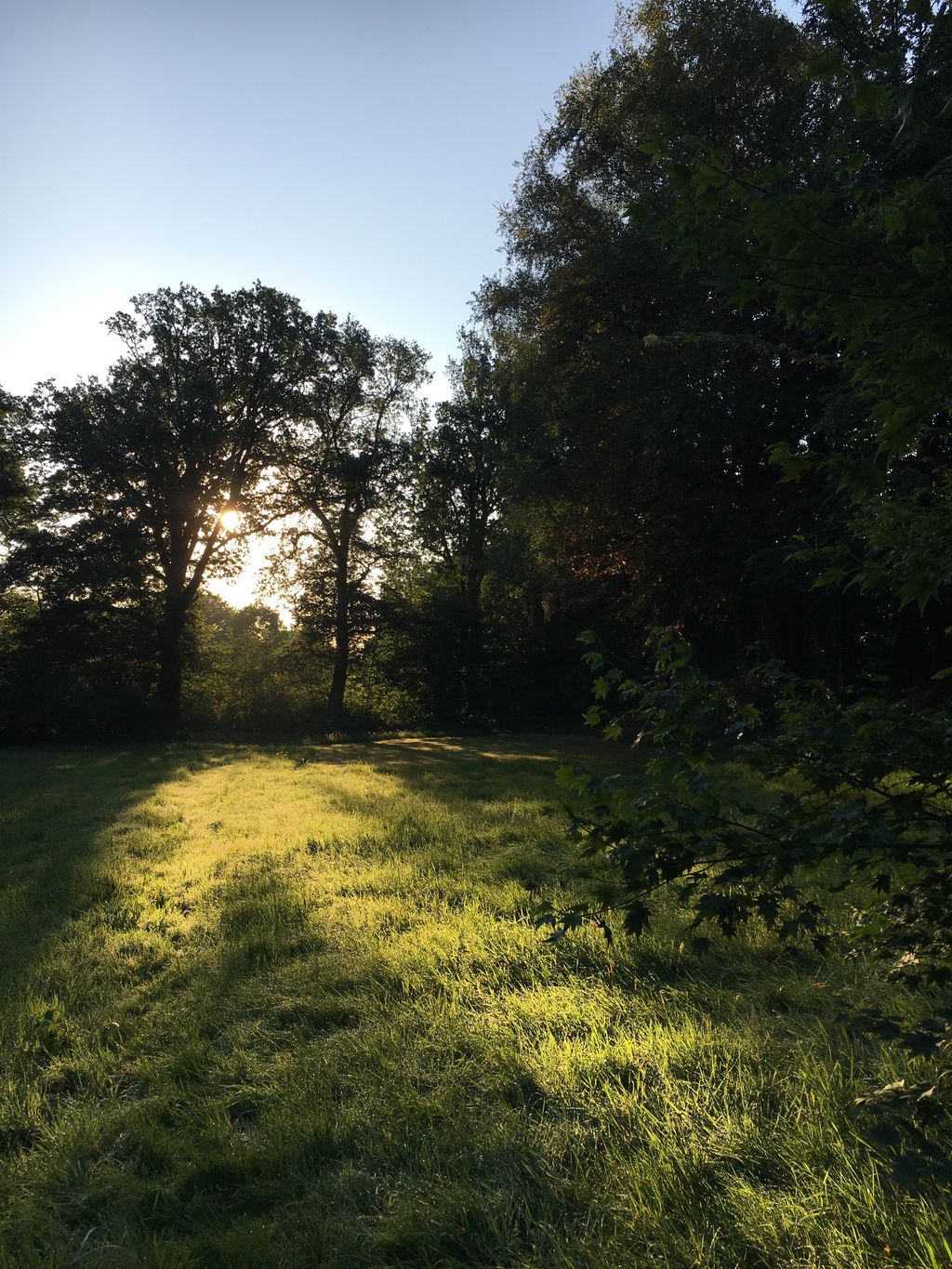 Naturparadies umgeben von alten Eichen