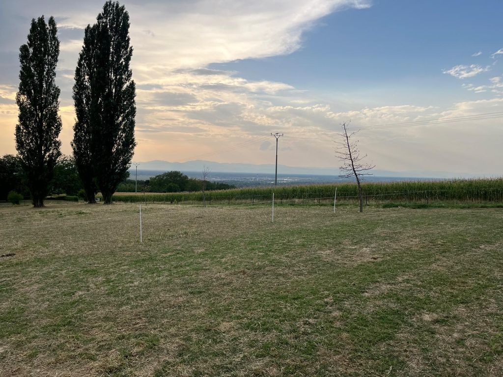 Stellplätze am Bauernhof mit Panoramablick Natur