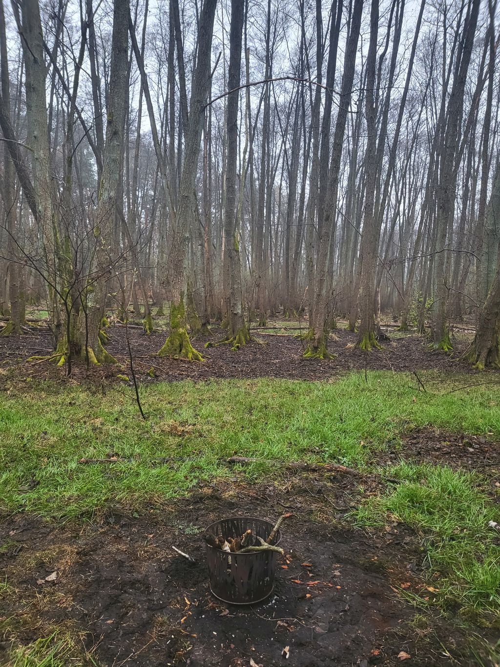 Un idilliaco pernottamento nel bosco nei pressi di Potsdam