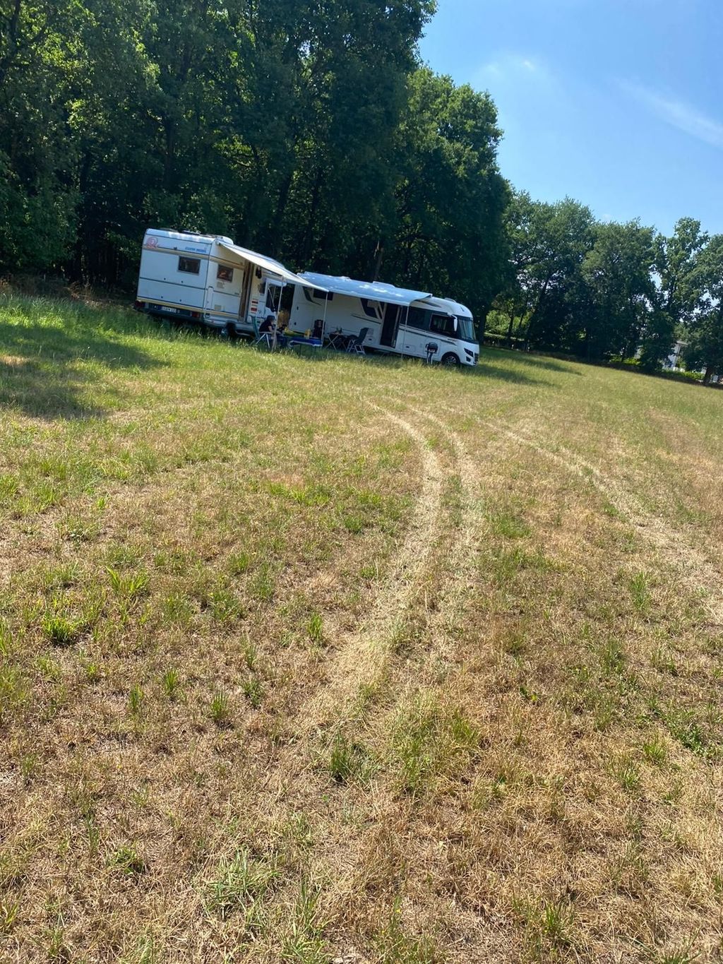 Rural idyll on the edge of the forest