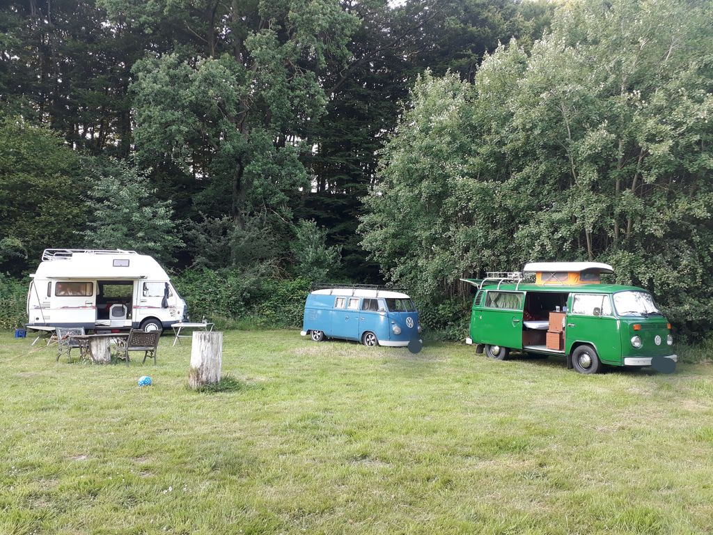 Pradera aislada junto a un pequeño bosque en un lugar apartado