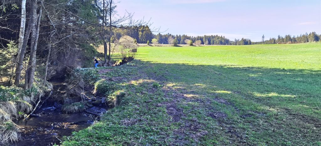 Camping sur l'alpage et au bord du ruisseau à 800 mètres d'altitude
