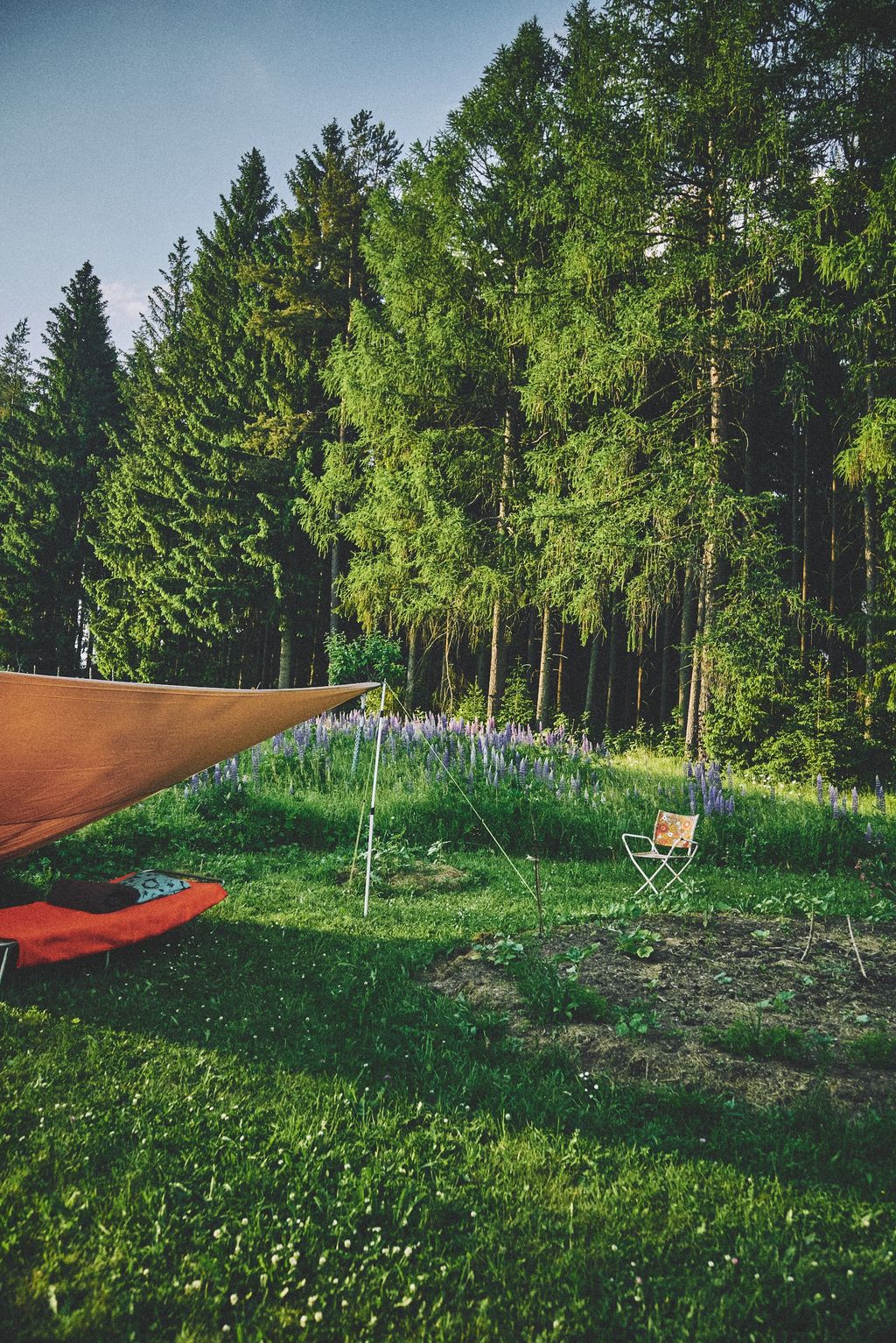 Entre bosques y prados en el Wolfsbach
