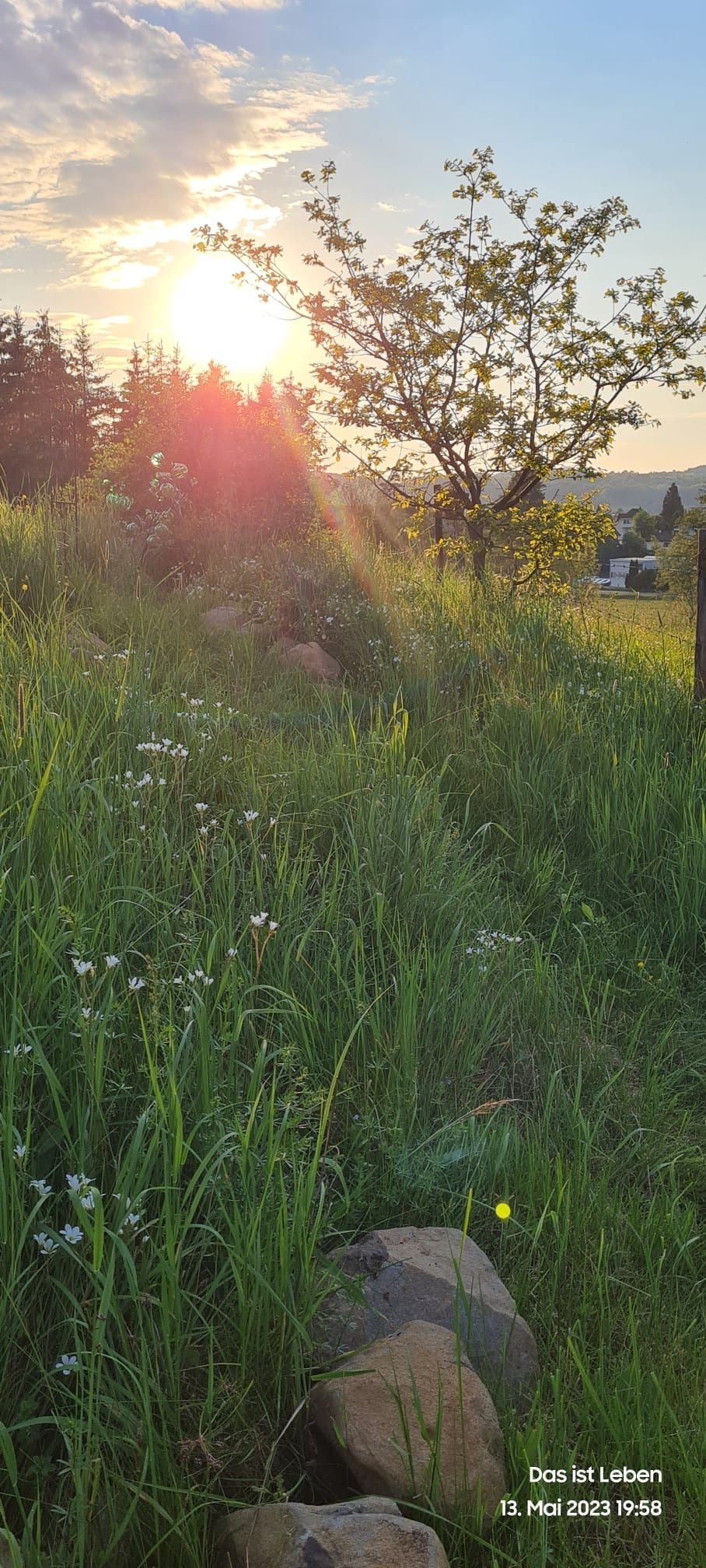Tenda Camping Schlüchtern Main Kinzig Rhön Spessart