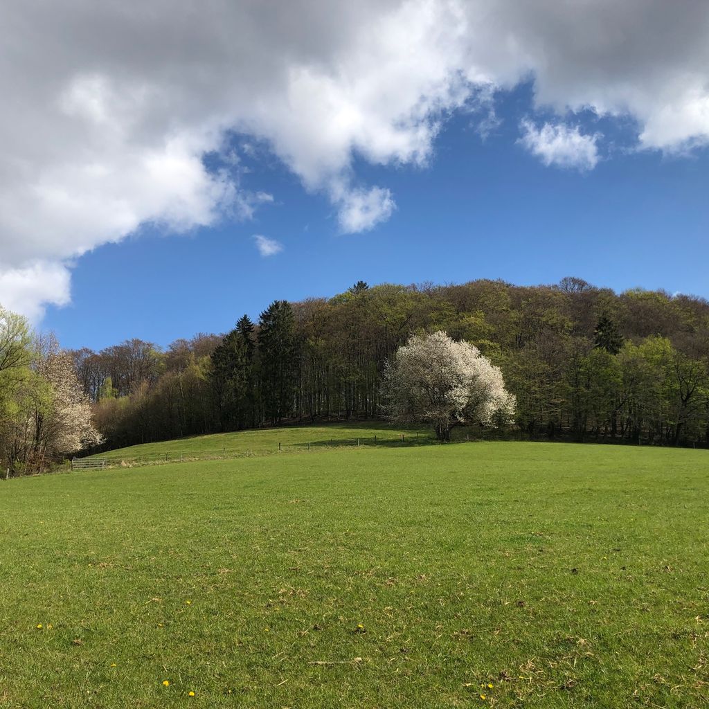 Vacances à la lisière de la forêt dans le parc national du Harz