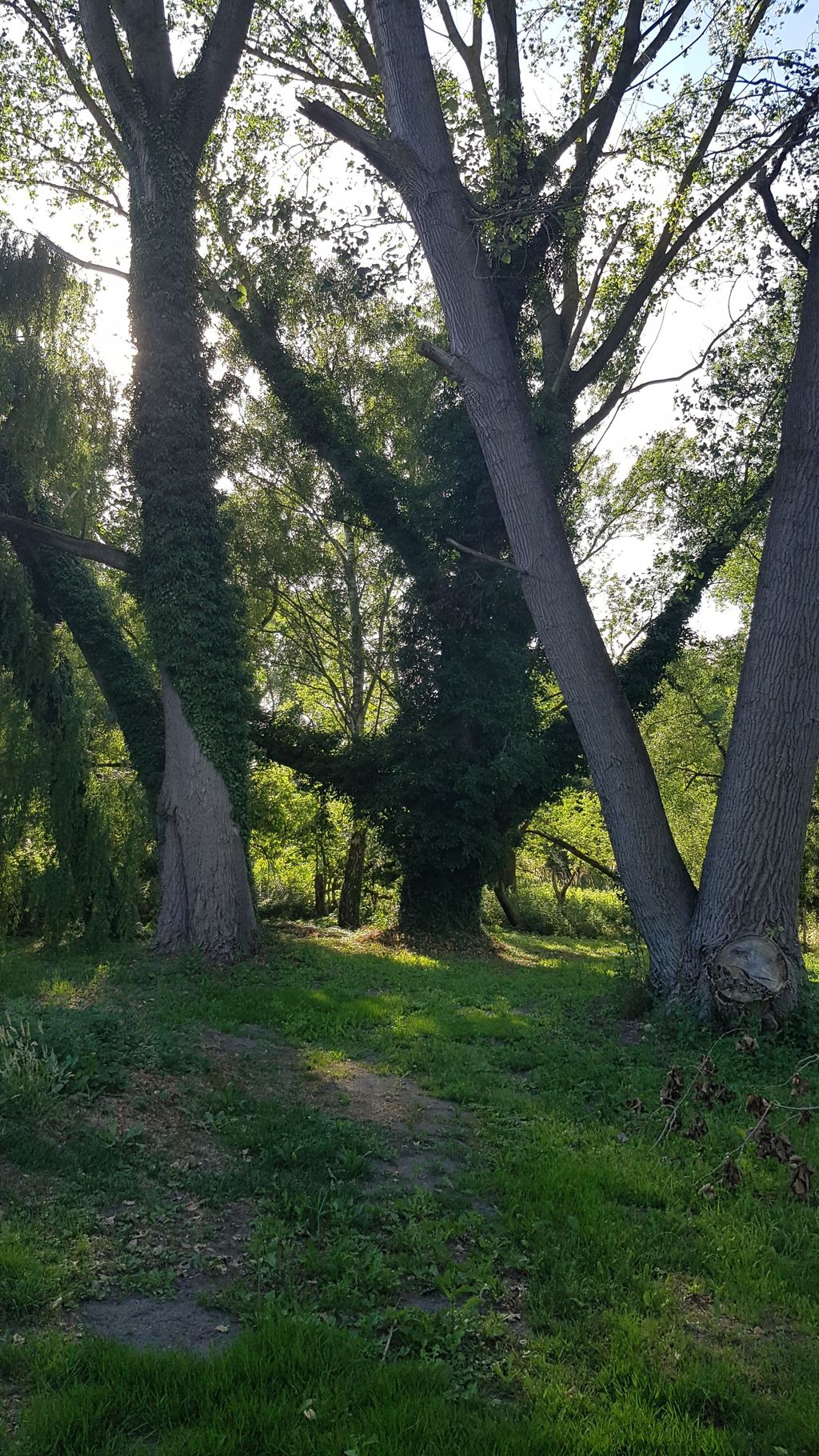 Quiet place between Havel and Elbe