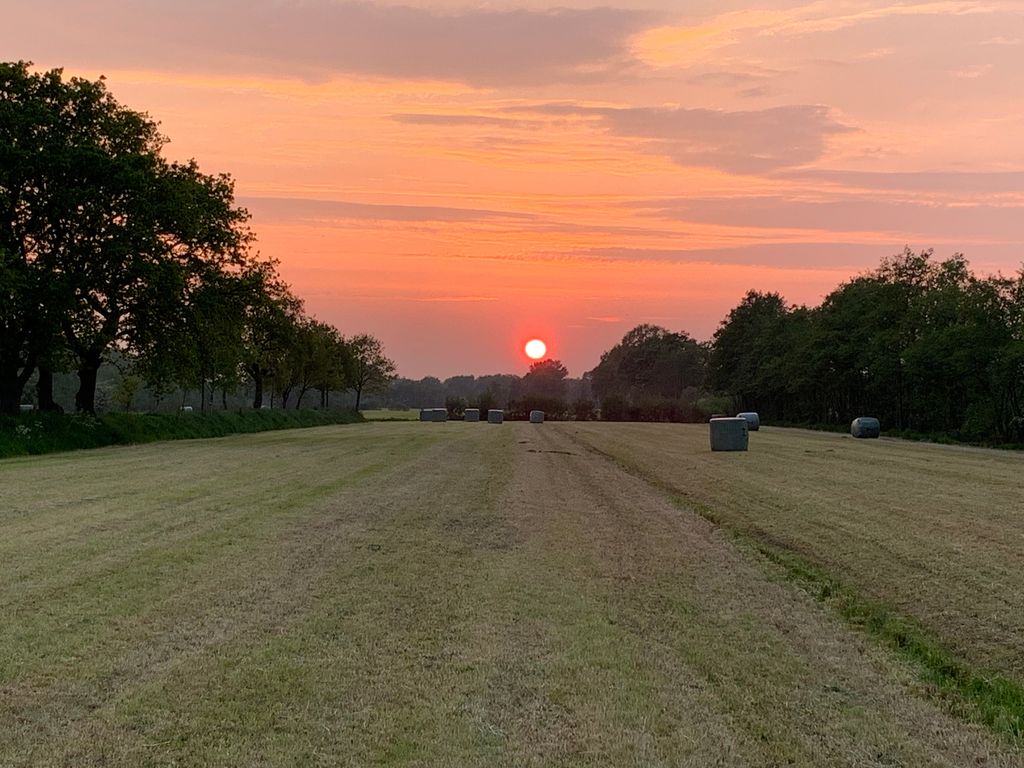 "The Silent Hall" in Friesland