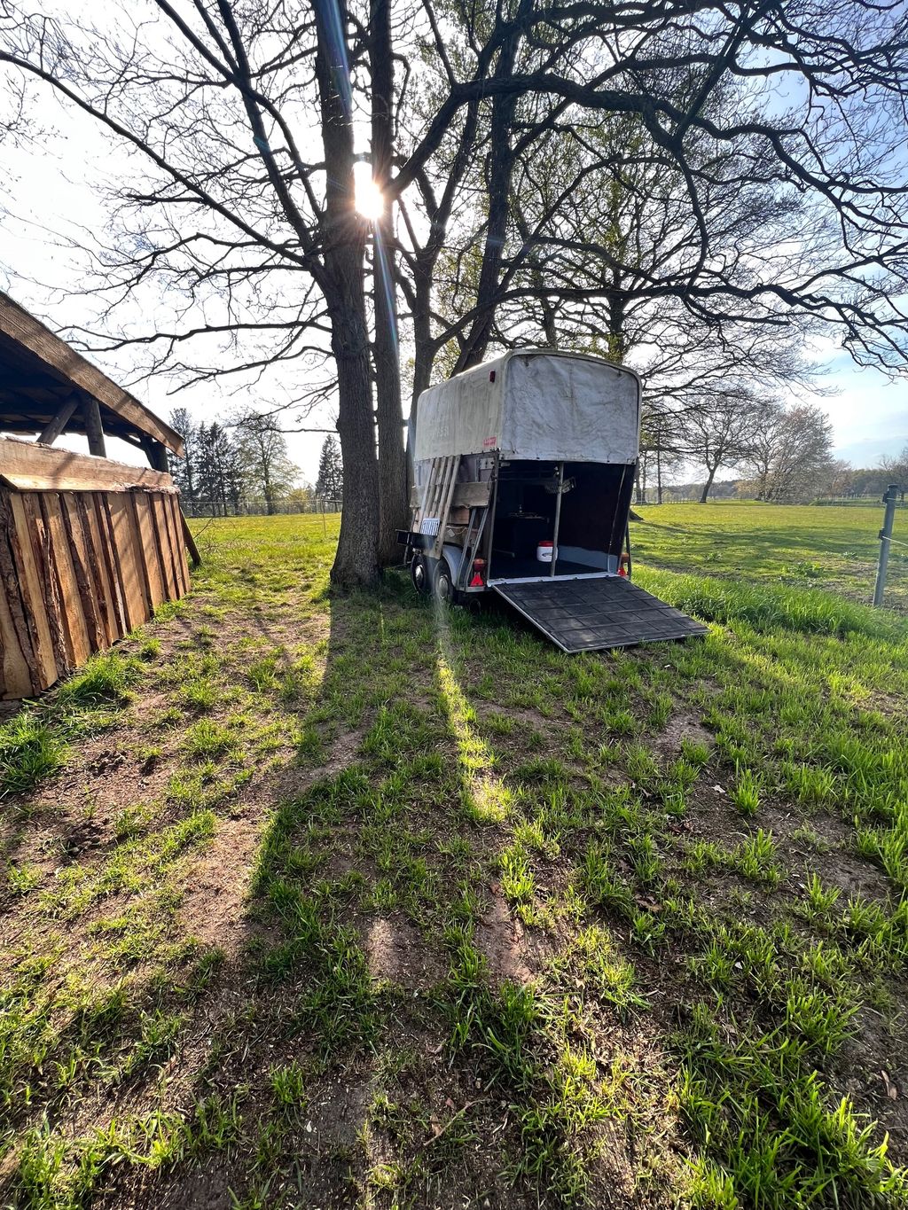 Piazzola accanto ai cavalli dietro la casa