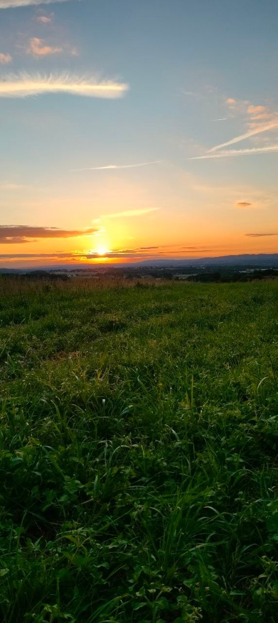 Posti in prima fila per lo spettacolo quotidiano della natura