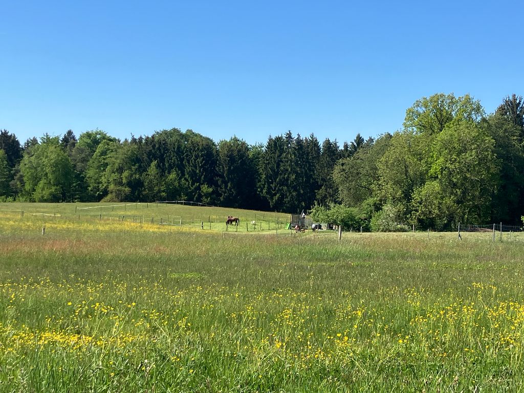 In the middle of the Swabian-Franconian Forest Nature Park