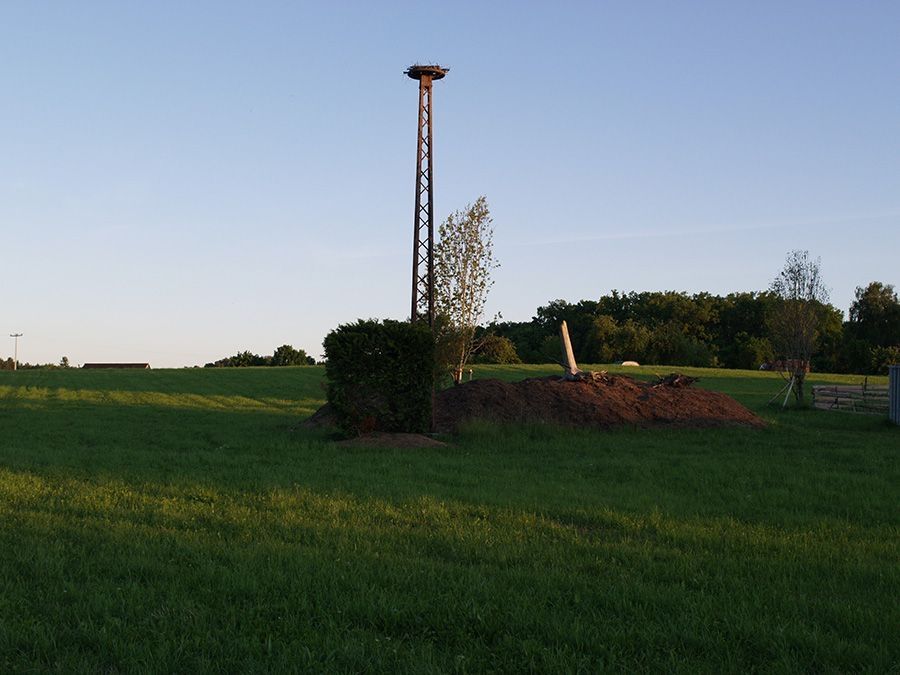 Weitblick in der Gartenbaumschule Engelhrdt