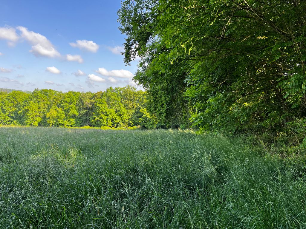 Pace celeste e natura pura (anche per i cavalieri)