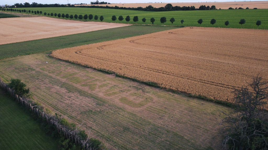 Emplacement de camping entouré de vastes champs