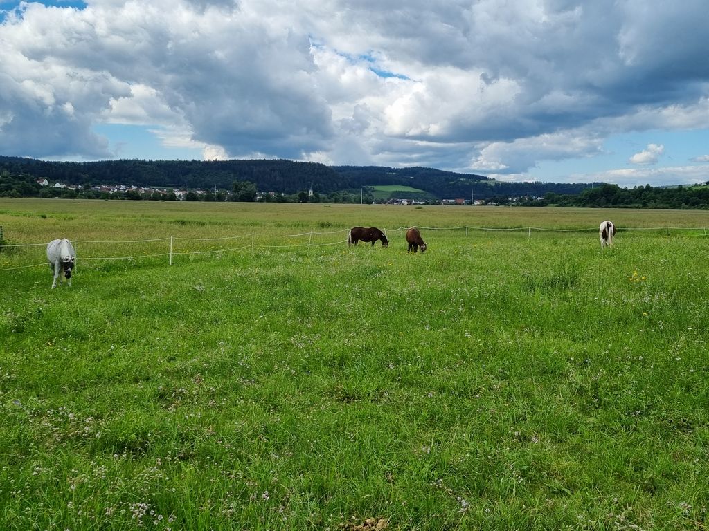 Garden place with view over meadow on Danube cycle path