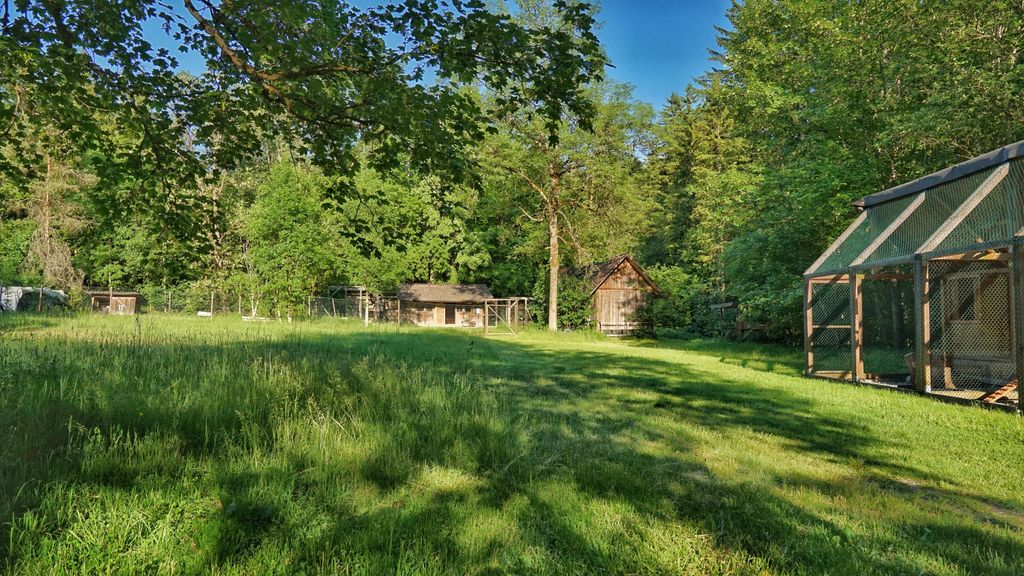 Campen am Bach im Waldgebiet nahe Wasserburg