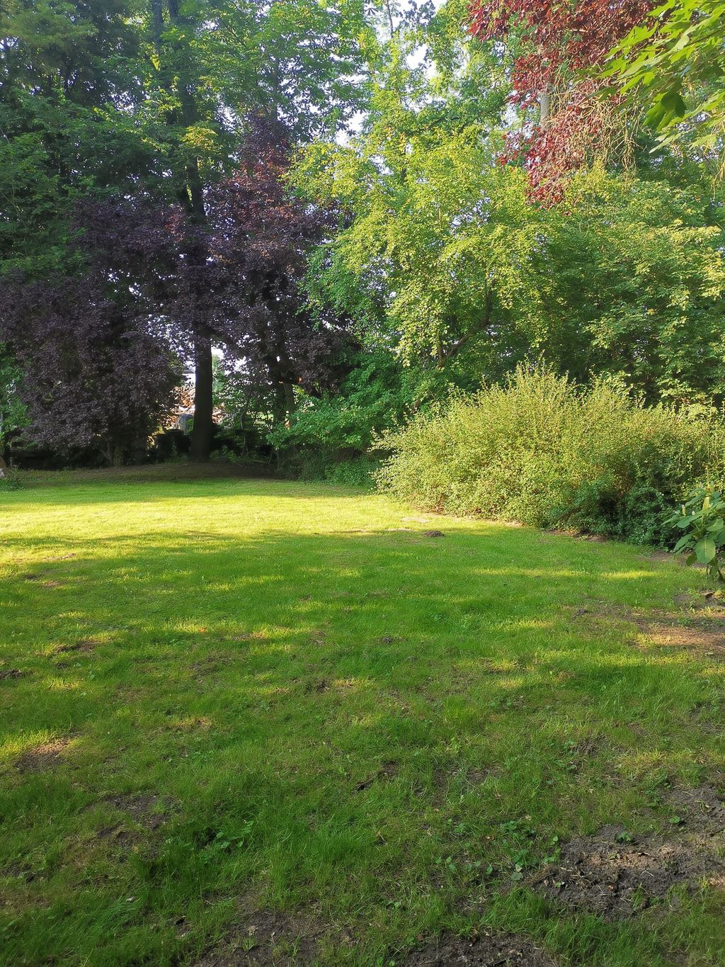 Campeggio con giardino ai margini orientali della brughiera di Lüneburg