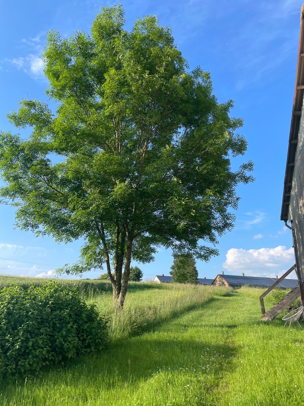Slow down on our farm right on the edge of the field