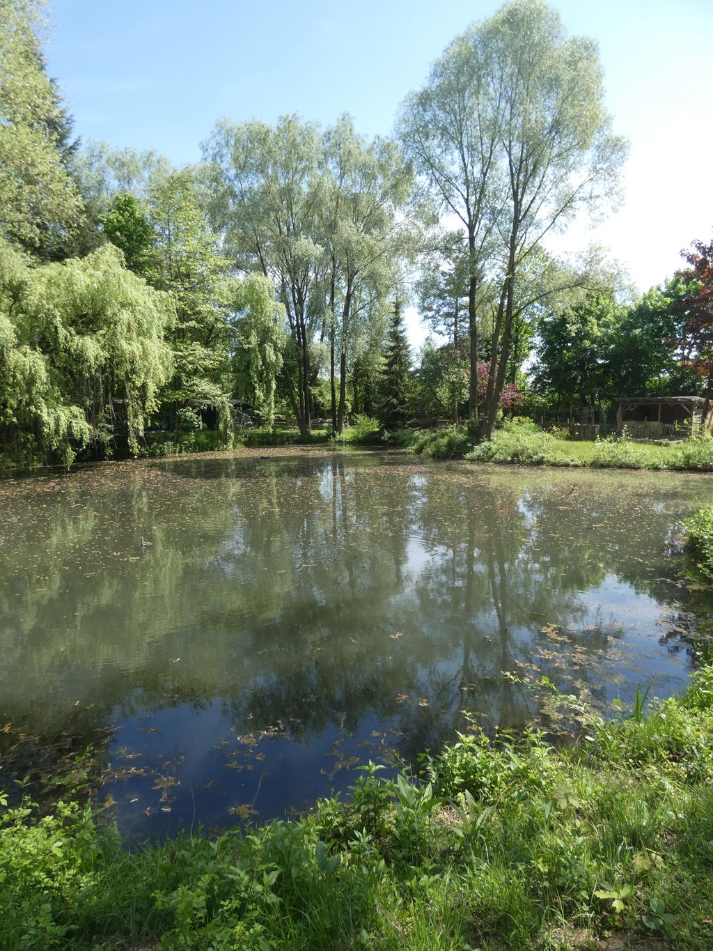 Auszeit am kleinen See
